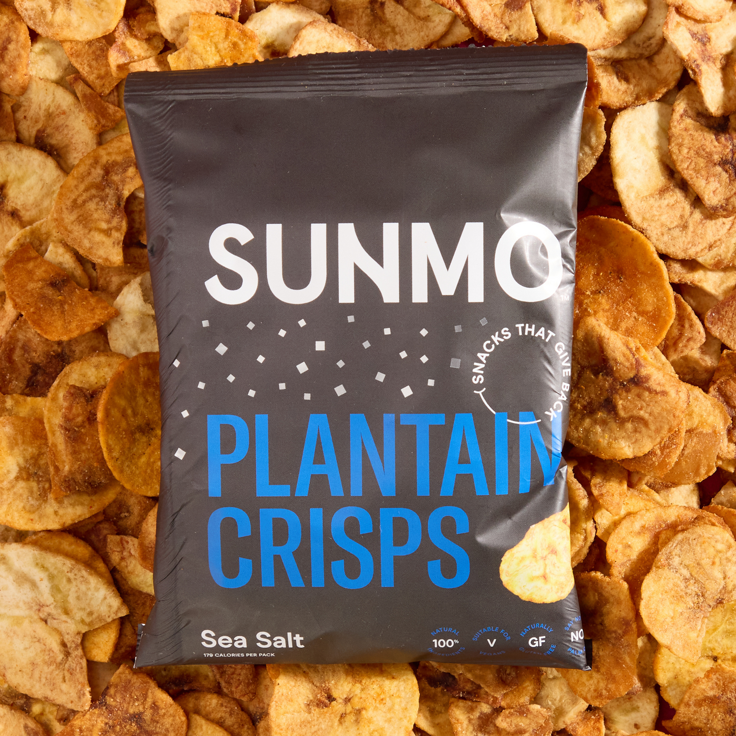 Sea Salt Plantain Crisps (Box of 12)